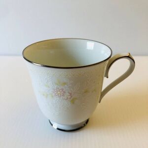 Temptation by Noritake, China Footed Tea Cup 2752 Garden Core Chinoiserie Style